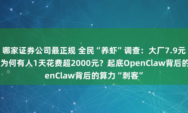 哪家证券公司最正规 全民“养虾”调查：大厂7.9元“包吃住”，为何有人1天花费超2000元？起底OpenClaw背后的算力“刺客”